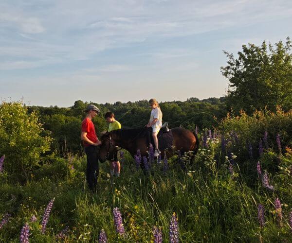 mergaite-jodinėja-su-zirgu mergaite ant zirgo zydincioje pievoje