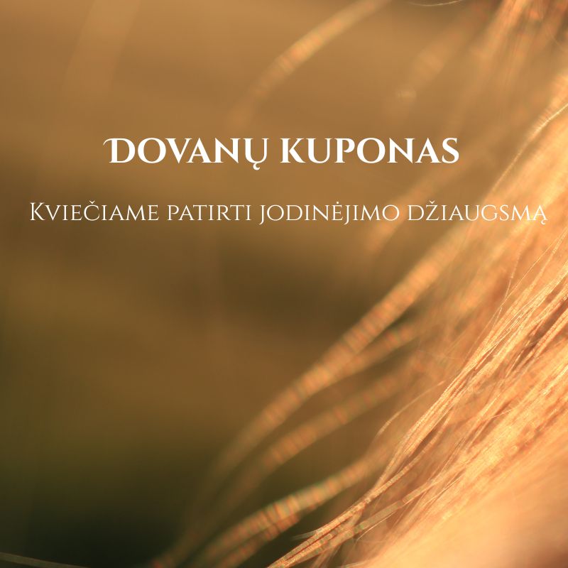 dovanų kuponas