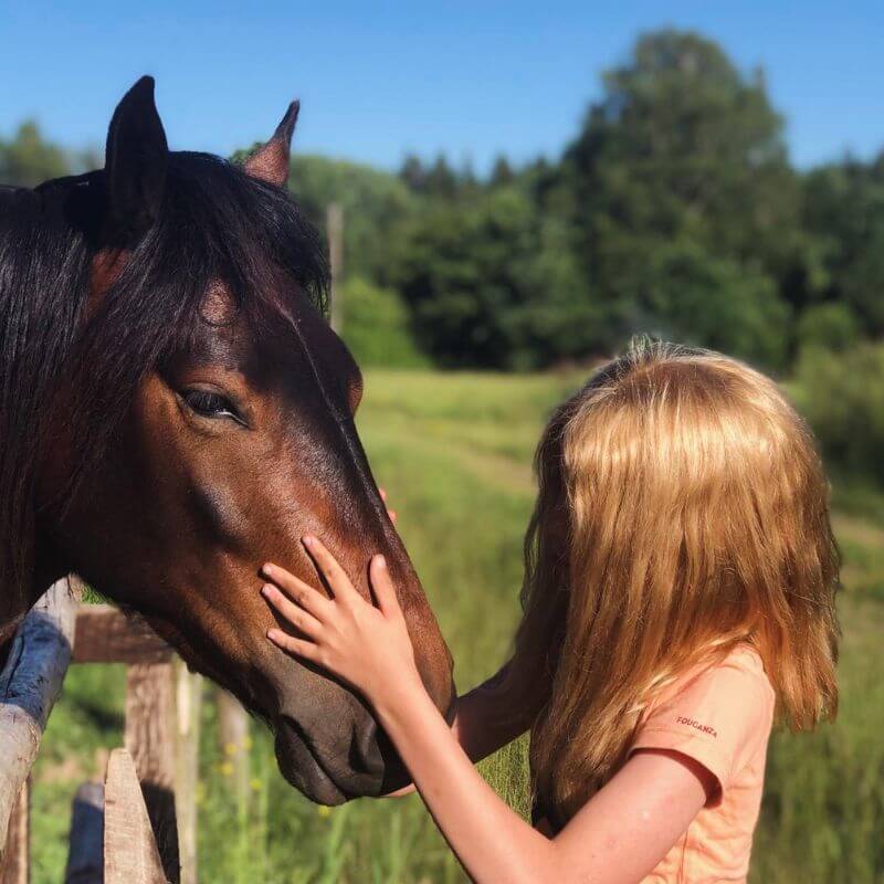 mergaitė glosto žirgą