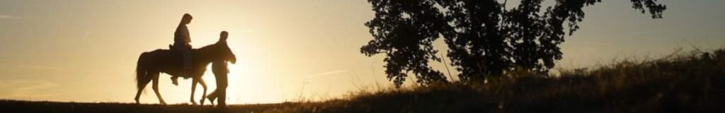 treneris veda žirgą su raiteliu