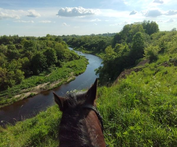 zirgas-ant-upes-kranto.. zirgas ant upes kranto