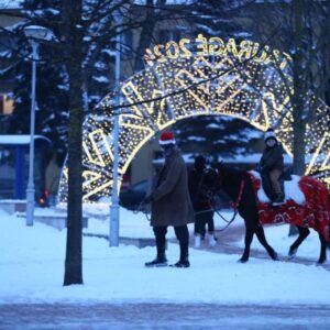 pasivaikščiojimas su žirgu miesto aikštėje